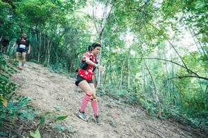 BIB: 
                            <button type="button" onclick="openModal(28161420)" class="btn btn-primary btn-sm float-right btn-popup" data-toggle="modal" data-target=".modal-high-quality">
                        <i class="fas fa-shopping-cart"></i> Add to Cart
                    </button>
                                            <button type="button" onclick="isThisMe(28161420, true)" class="btn btn-success btn-sm float-right btn-popup btn-isme hidden" data-toggle="tooltip" data-placement="bottom" title="นี่คือรูปของคุณใช่ไหม คลิกที่นี่เพื่อเอาเข้าอัลบั้ม">
                        <i class="fas fa-plus"></i> Add to album
                    </button>
                    <button type="button" onclick="isThisMe(28161420, false)" class="btn btn-warning btn-sm float-right btn-popup btn-isnotme hidden">
                        <i class="fas fa-ban"></i> Remove from album
                    </button>